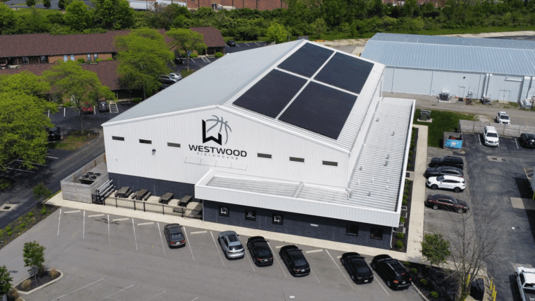 Environmental Benefits of Solar Energy: How Solar Panels Help the Planet